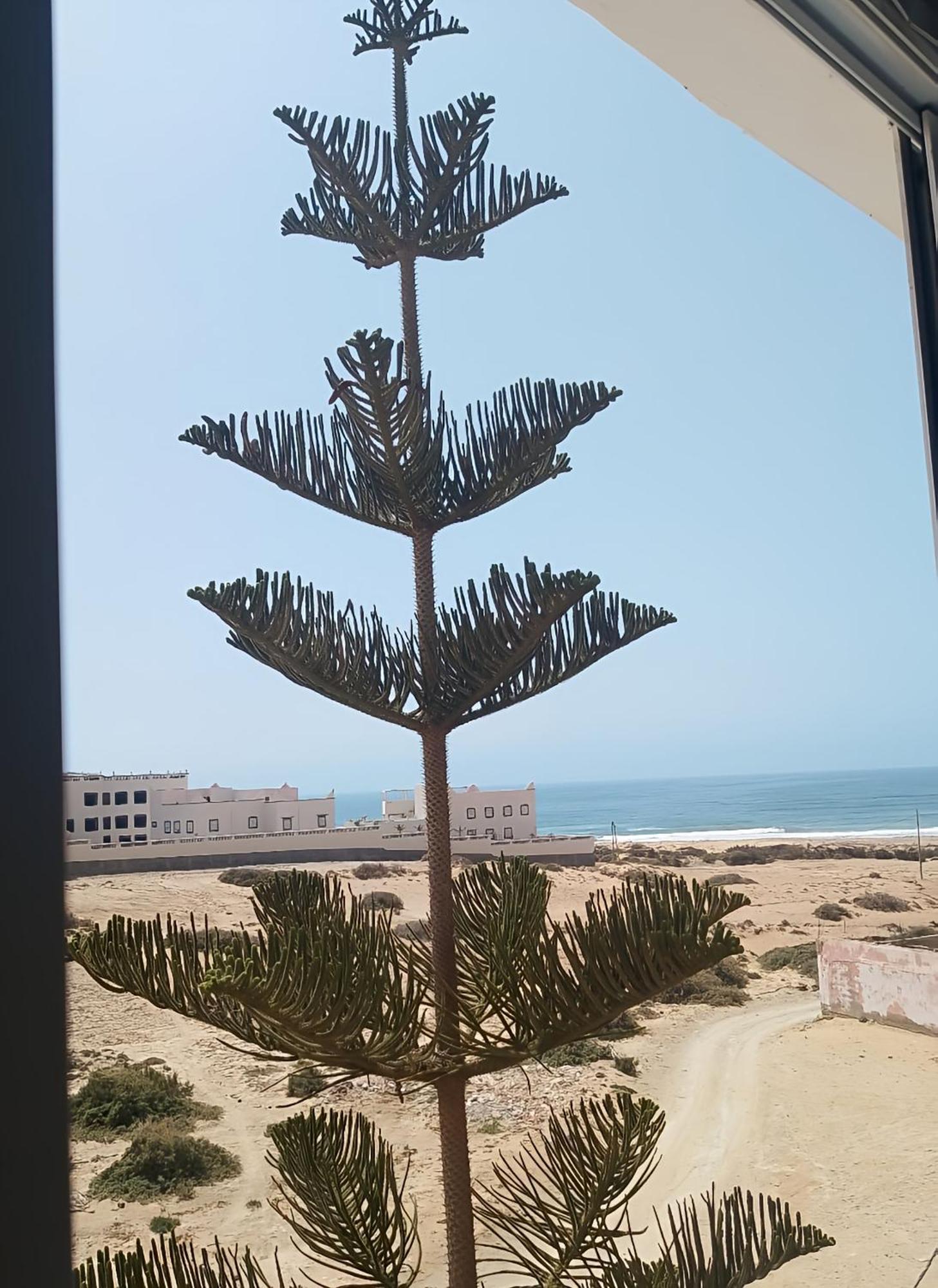 Hotel Tildi Surf House Imsouane Zewnętrze zdjęcie